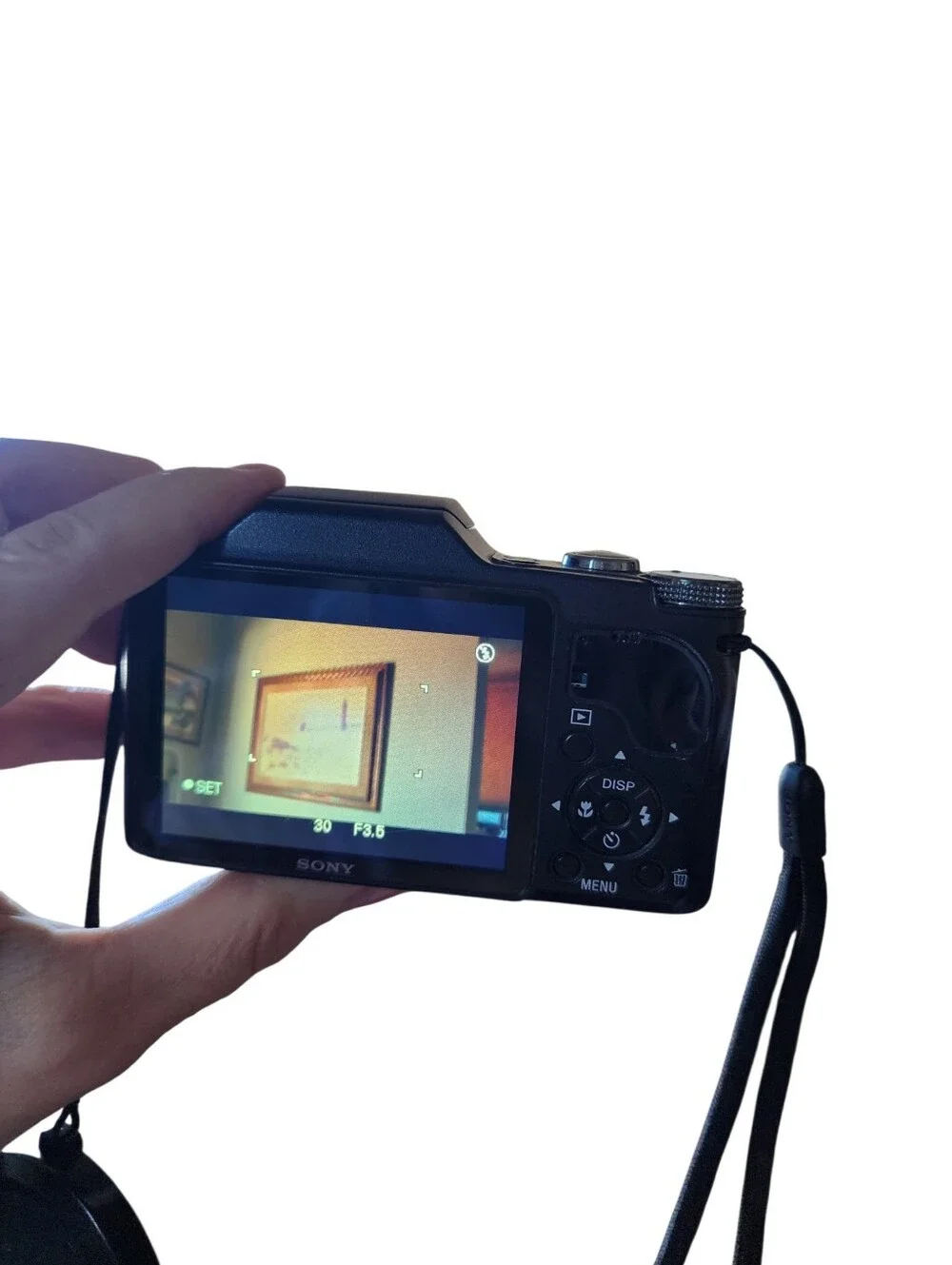 Sony Cyber-shot DSC-H20 10.1MP Digital Camera With 10X Zoom Bundle Tested